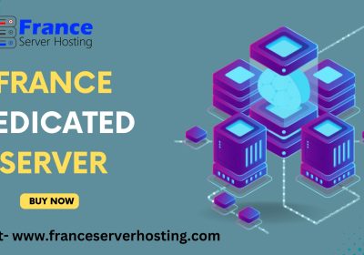 How to Choose the Perfect France Dedicated Server for Your Business