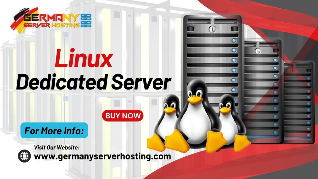 Unleashing the Potential: Experience with Linux Dedicated Servers