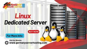 Linux Dedicated Servers - A visual representation of versatile, open-source hosting solutions for enhanced performance and customization.