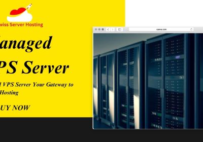 Managed VPS Server Your Gateway to Reliable Hosting