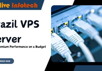 Brazil VPS Server: Get Premium Performance on a Budget